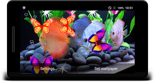 Discus Fish Live Wallpaper - عکس برنامه موبایلی اندروید