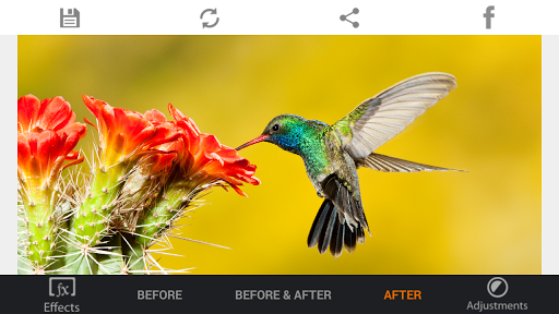 Photo Editor HDR FX - Image screenshot of android app