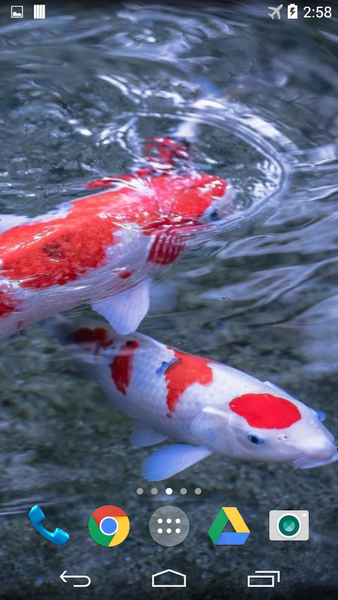 Koi 3D Live Wallpaper - Image screenshot of android app