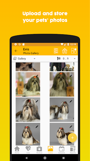 ۱۱pets: Pet care - عکس برنامه موبایلی اندروید