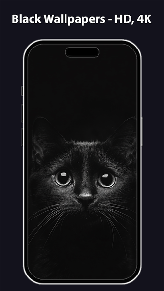 Black Wallpapers ۴K HD Dark - عکس برنامه موبایلی اندروید