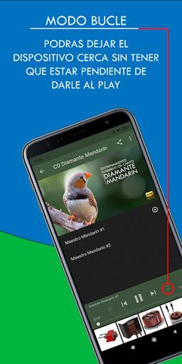 Diamante Mandarín Maestro - عکس برنامه موبایلی اندروید