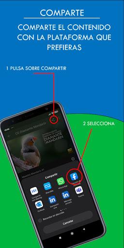 Diamante Mandarín Maestro - عکس برنامه موبایلی اندروید