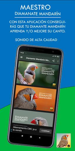 Diamante Mandarín Maestro - Image screenshot of android app