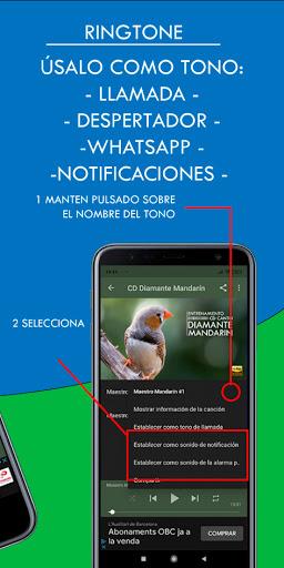 Diamante Mandarín Maestro - عکس برنامه موبایلی اندروید