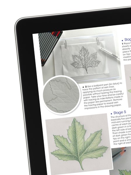 Start Art - عکس برنامه موبایلی اندروید