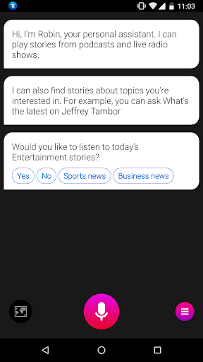 Robin - AI Voice Assistant - Image screenshot of android app