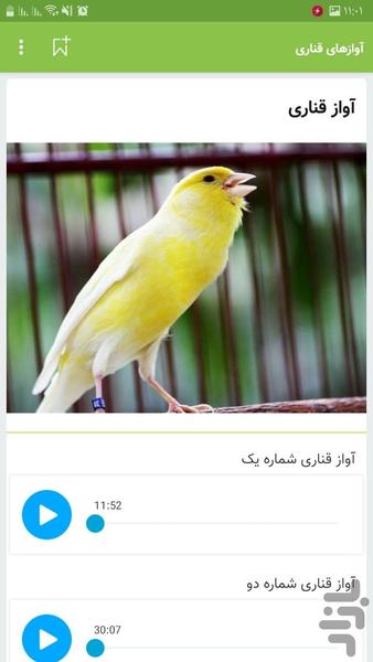آواز صوت قناری ، تغذیه نگهداری - عکس برنامه موبایلی اندروید
