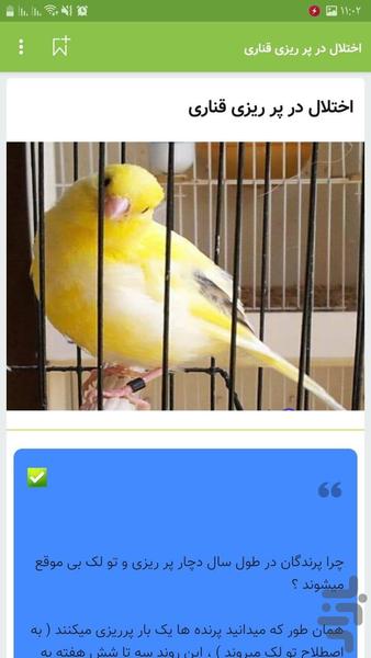آواز صوت قناری ، تغذیه نگهداری - عکس برنامه موبایلی اندروید