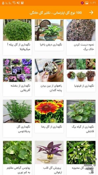 ۱۰۰ نوع گل اپارتمانی تکثیر گل خانگی - عکس برنامه موبایلی اندروید
