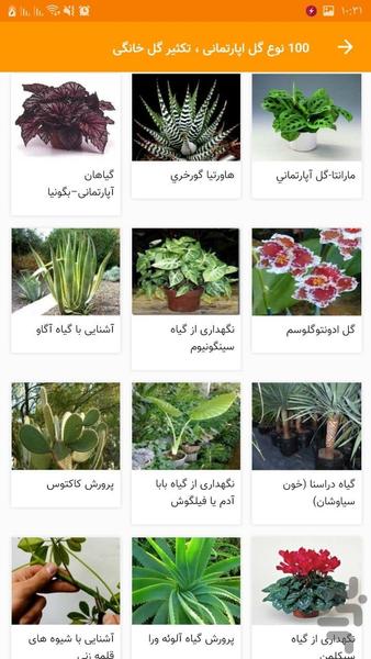 ۱۰۰ نوع گل اپارتمانی تکثیر گل خانگی - عکس برنامه موبایلی اندروید