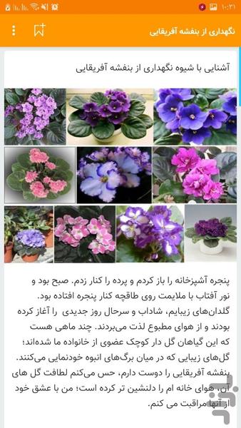 ۱۰۰ نوع گل اپارتمانی تکثیر گل خانگی - عکس برنامه موبایلی اندروید