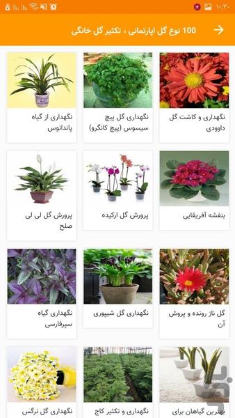 100 نوع گل اپارتمانی تکثیر گل خانگی - عکس برنامه موبایلی اندروید