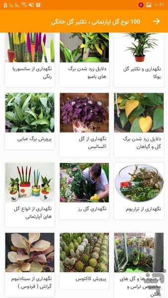 ۱۰۰ نوع گل اپارتمانی تکثیر گل خانگی - عکس برنامه موبایلی اندروید