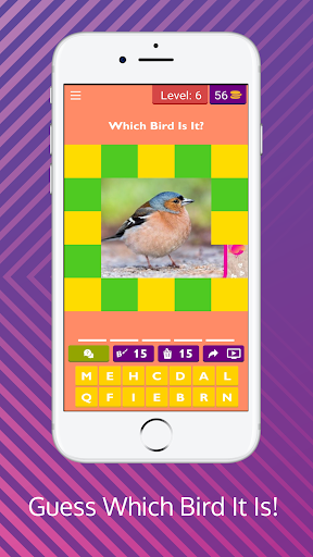 Guess Which Bird It Is! - Image screenshot of android app