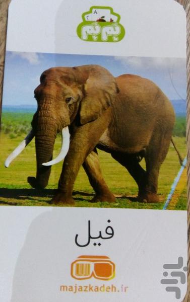 Learn animals based on AR (PAM PAM) - Image screenshot of android app