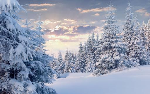 Snowflakes Live Wallpaper - عکس برنامه موبایلی اندروید