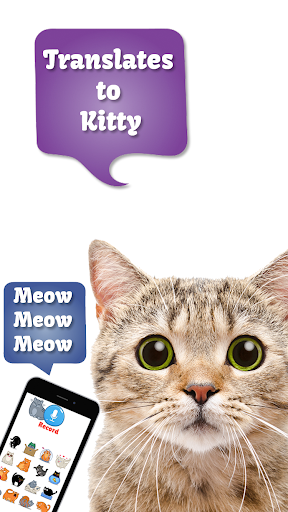 Cat Translate: Speak to Kitten - عکس برنامه موبایلی اندروید