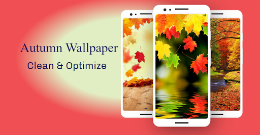 Autumn Wallpaper - Image screenshot of android app