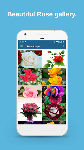 Rose Wallpaper HD - Image screenshot of android app