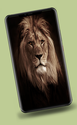 Lion Wallpapers - عکس برنامه موبایلی اندروید