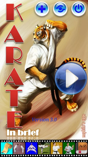 Karate in brief - Image screenshot of android app