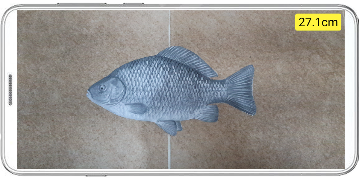 Fish ruler - Image screenshot of android app