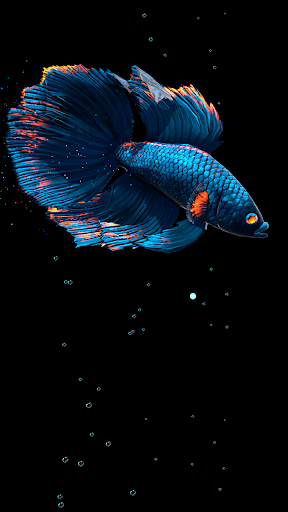 Betta Fish - عکس برنامه موبایلی اندروید
