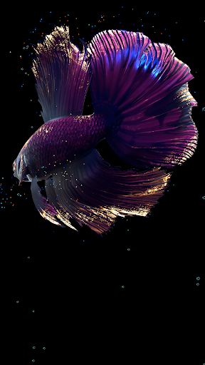 Betta Fish - عکس برنامه موبایلی اندروید