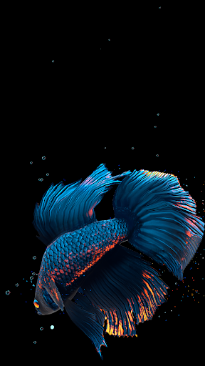 Betta Fish Live Wallpaper FREE - Image screenshot of android app