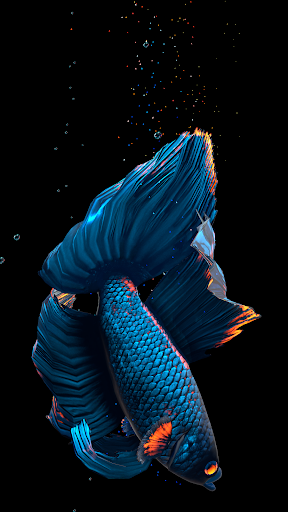 Betta Fish - عکس برنامه موبایلی اندروید