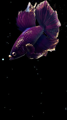 Betta Fish - عکس برنامه موبایلی اندروید