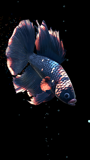 Betta Fish - عکس برنامه موبایلی اندروید