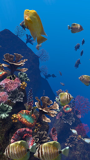 OCEAN AQUARIUM Live Wallpaper FREE - عکس برنامه موبایلی اندروید