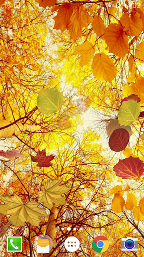 Falling Leaves Live Wallpaper - عکس برنامه موبایلی اندروید