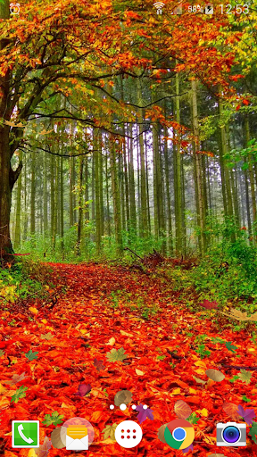 Falling Leaves Live Wallpaper - عکس برنامه موبایلی اندروید