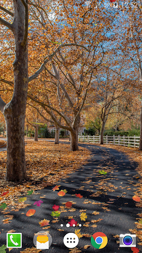 Falling Leaves Live Wallpaper - Image screenshot of android app