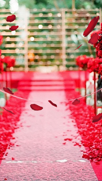 Falling Petals Live Wallpaper - عکس برنامه موبایلی اندروید