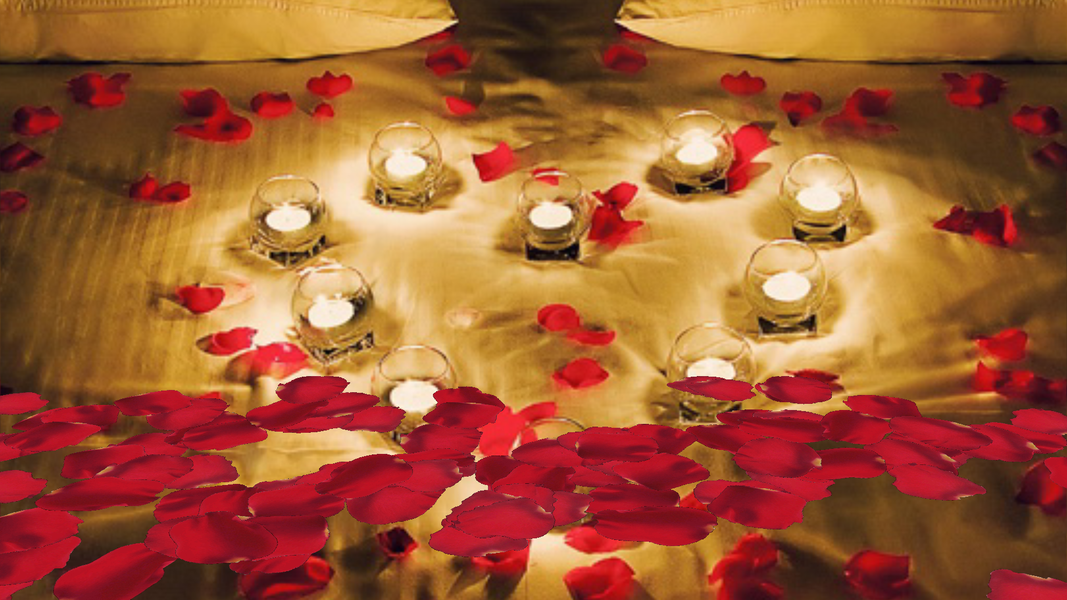 Falling Petals Live Wallpaper - عکس برنامه موبایلی اندروید