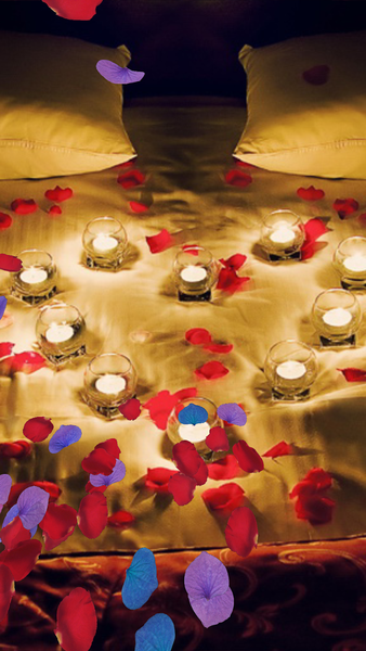 Falling Petals Live Wallpaper - عکس برنامه موبایلی اندروید