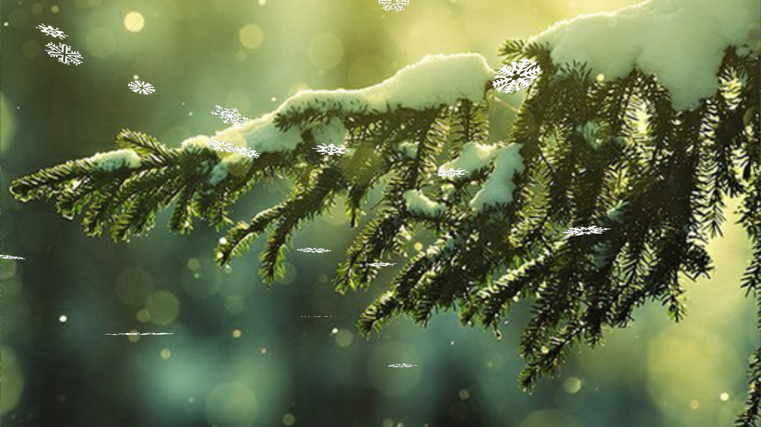 Falling Snowflakes Wallpaper - عکس برنامه موبایلی اندروید