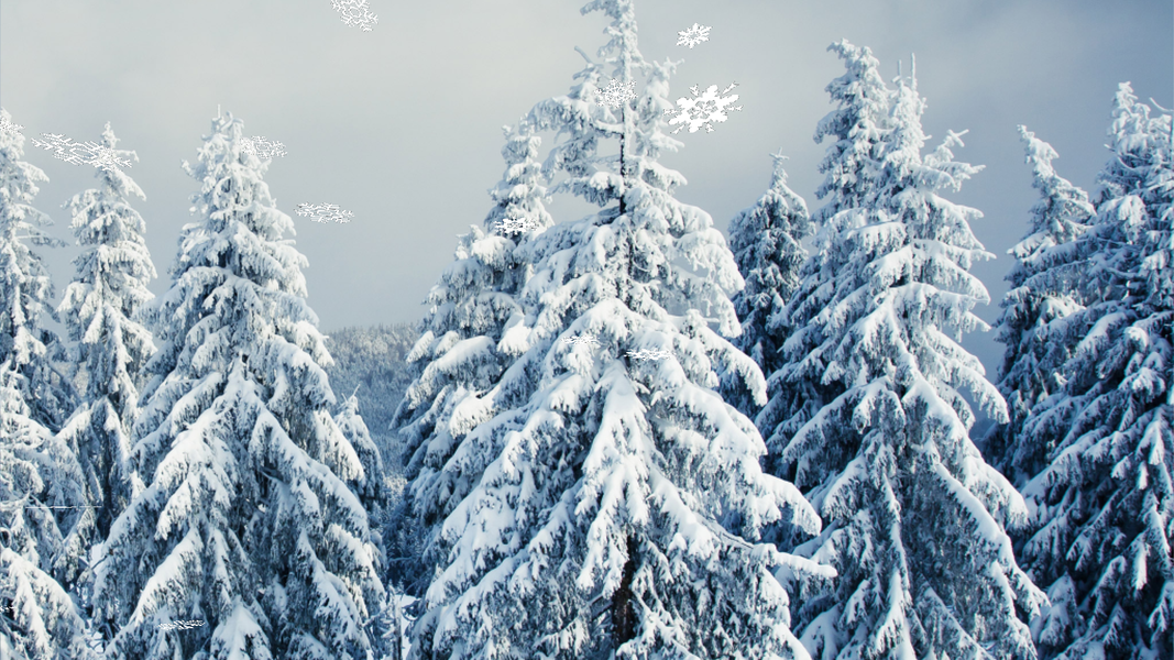 Falling Snowflakes Wallpaper - عکس برنامه موبایلی اندروید