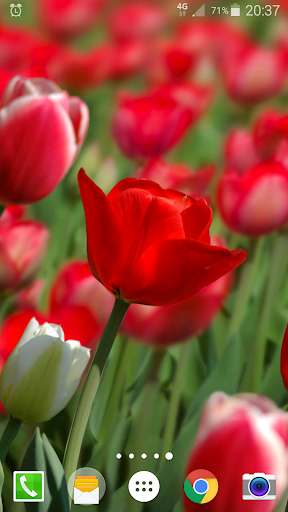 Parallax ۳D Live Wallpaper - عکس برنامه موبایلی اندروید