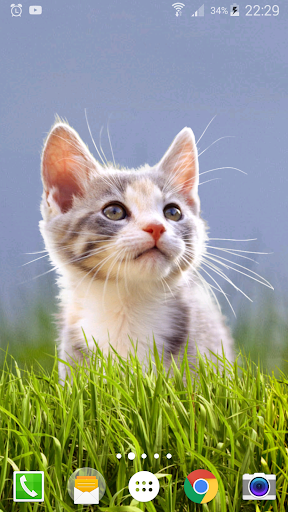 Parallax ۳D Live Wallpaper - عکس برنامه موبایلی اندروید