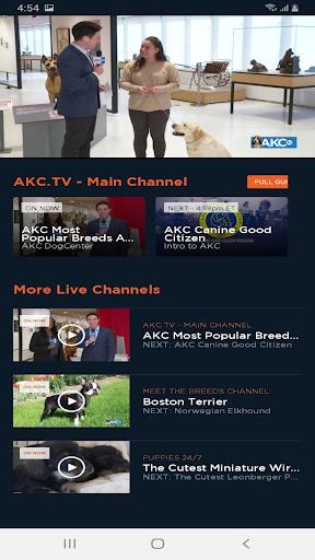 AKC.TV - Image screenshot of android app