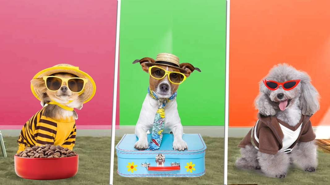 Dog Sim Pet Simulator Dog Life - عکس بازی موبایلی اندروید