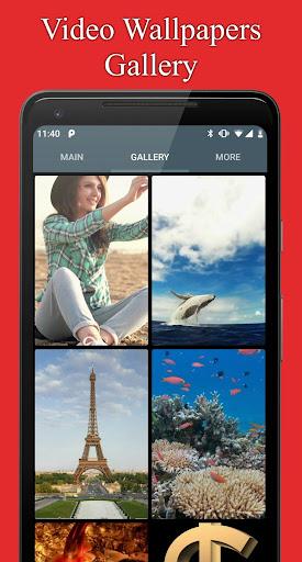 Any Video Live Wallpaper Maker - عکس برنامه موبایلی اندروید