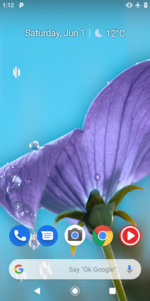 Flowers Video Wallpaper Live - Image screenshot of android app