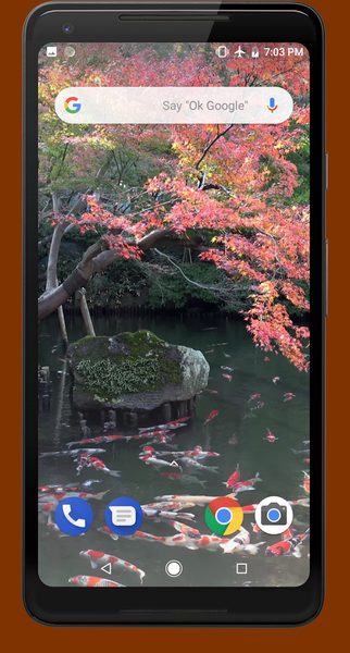 Japanese Koi Pond 4K Video LWP - Image screenshot of android app