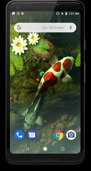 Koi Fish Video Live Wallpaper - عکس برنامه موبایلی اندروید